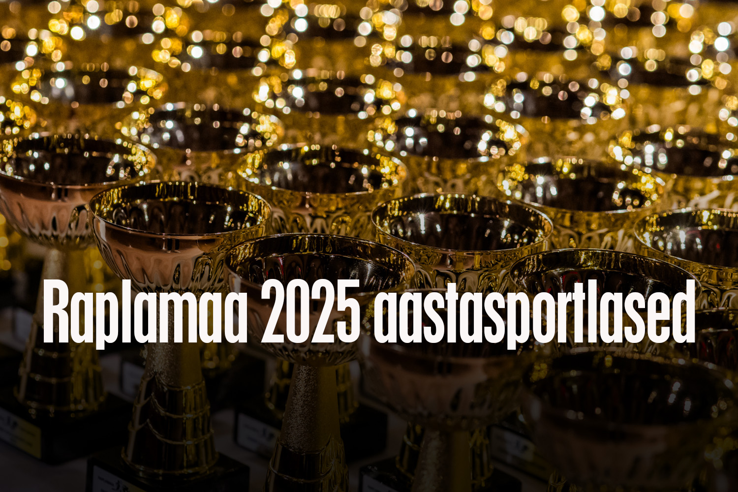 The post Raplamaa 2025 aastasportlaste tunnustamisel noppis Rapla korvpallikool väärt tunnustused appeared first on Rapla Korvpallikool.